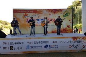 강남구민 단풍길걷기 축제
